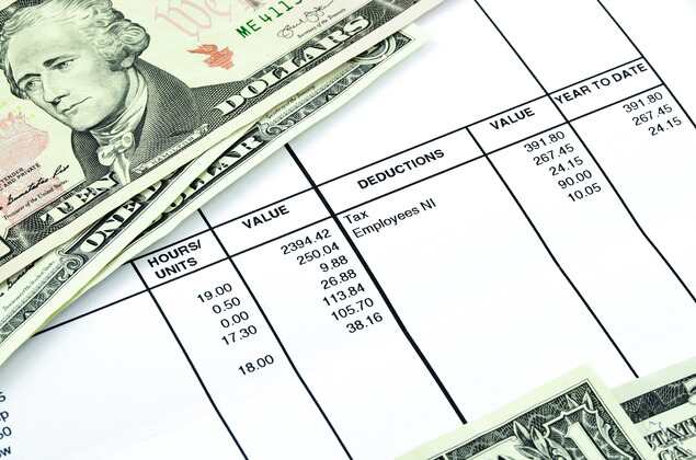 pay stub details