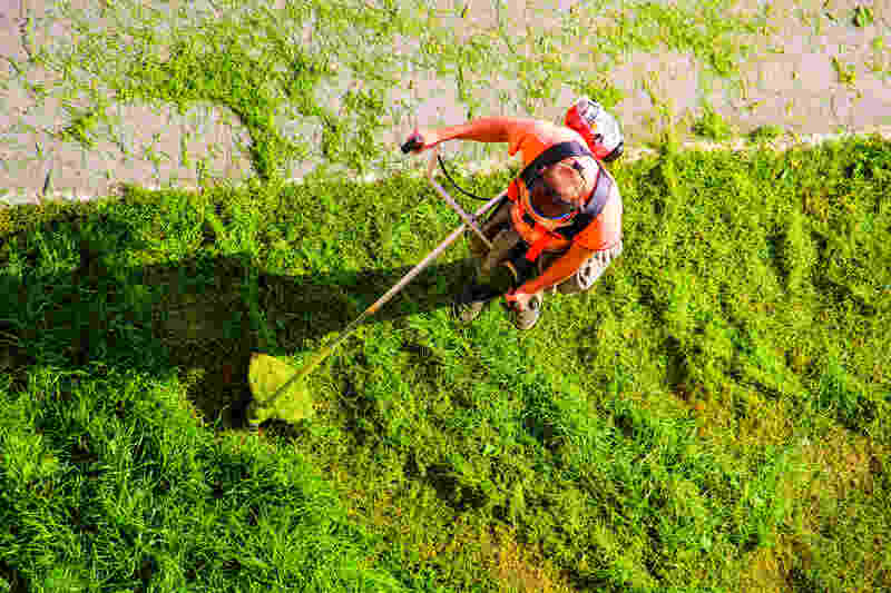 Man mowing green grass, mower top view
