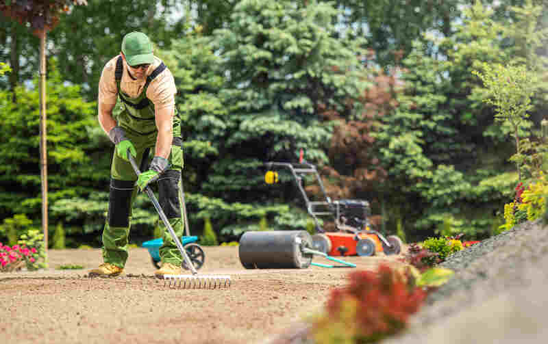 Garden Specialist Preparing Soil For Grass