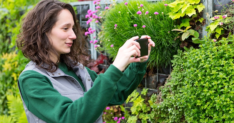 Landscaper takes photo of landscaping work
