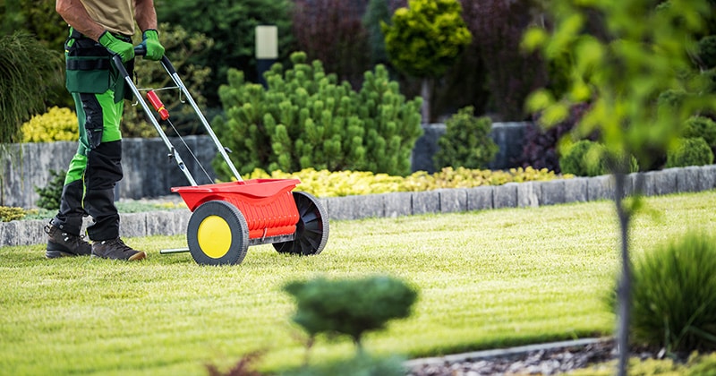 Lawn care professional using seeder in garden during daytime