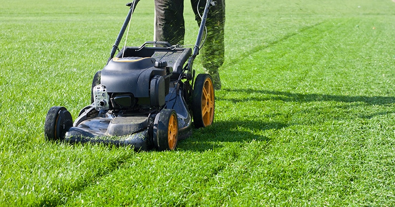 Close up of lawn mower in action on large lawn