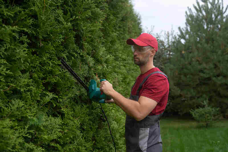 Gardener wearing protective glasses in a garden using an electric hedge trimmer, showcasing professional landscaping