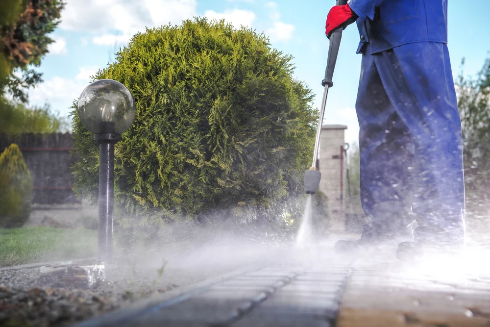 A worker pressure washing a stone paver walkway in a backyard garden near a topiary bush.